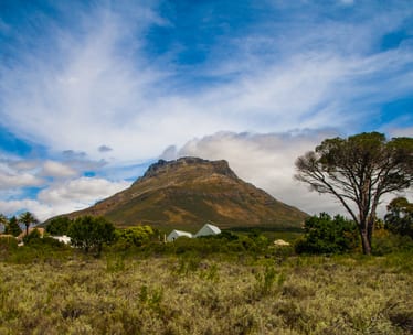 Winelands